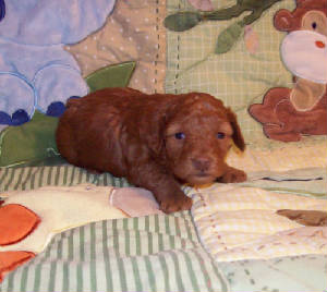 georgia_3wk_2978.jpg