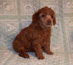 georgia_4.5wk_3188.jpg