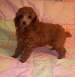 mae7wk_44oz_3382.jpg