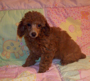 mae9wk_55oz_3477.jpg