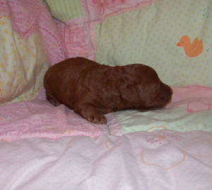 mae_11days_2933.jpg