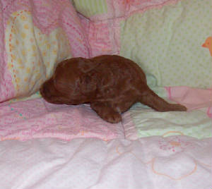mae_11days_2934.jpg