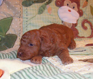 mae_3wk_2992.jpg
