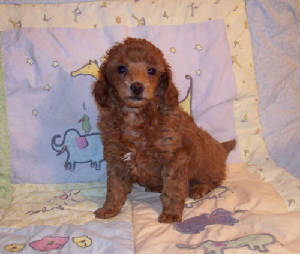 mae_6wk_3284.jpg