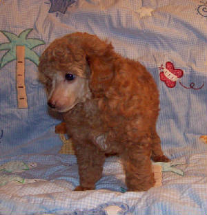 pete7wk_45oz_3363.jpg