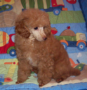pete_13wk_3631.jpg