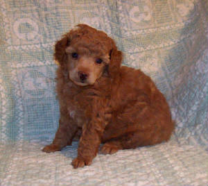 pete_4.5wk_3202.jpg