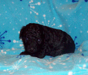 tug3wk_19oz_3531.jpg