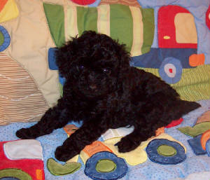 tug5wk_25oz_3582.jpg