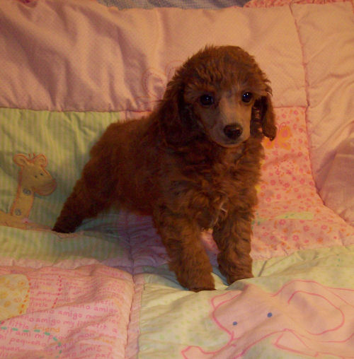 mae7wk_44oz_3385.jpg