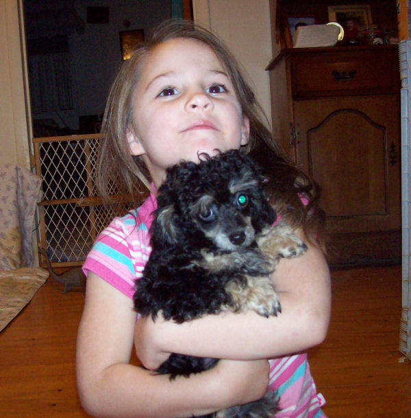 pistol_12wk_3721.jpg